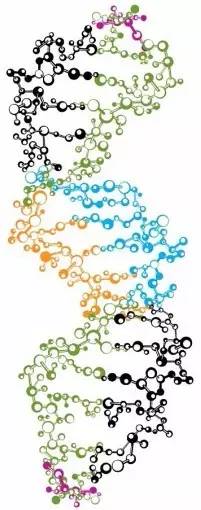 生命是什么?薛定谔从物理学探索人类生命奥秘 生命是什么?薛定谔从物理学探索人类生命奥秘