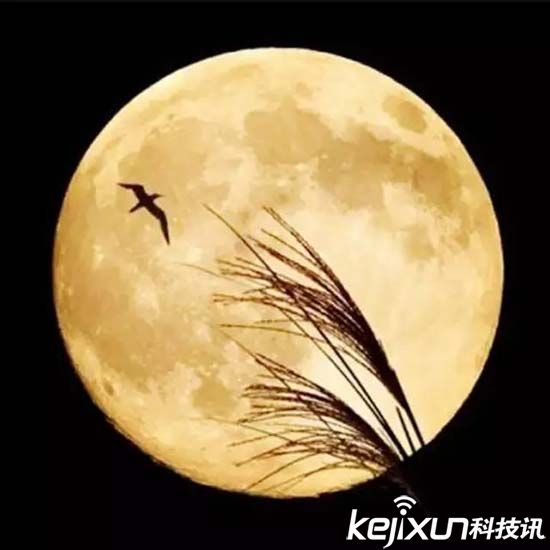 ط Xǻʲô