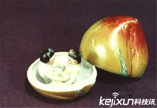 ŴĸԽ óѹס