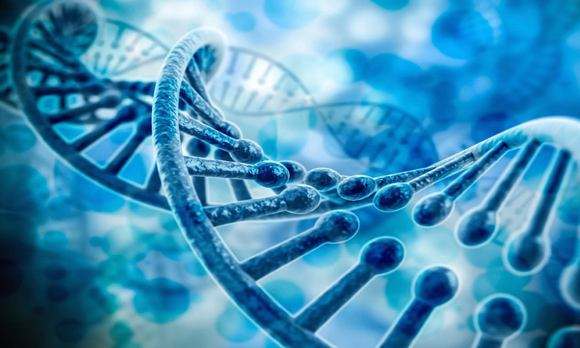 CRISPR༭̥Ч״λ֤