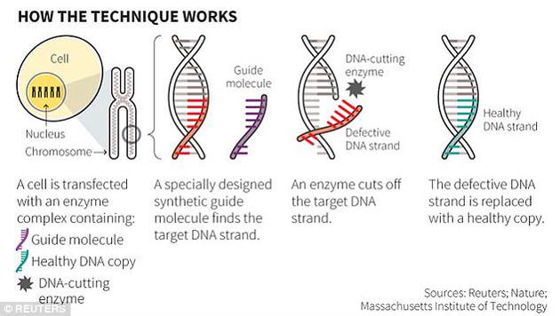 CRISPR-Cas9ݳƾ֢ǱüʶͻλıǣԼһDNAضλþȷеøĳвƳ