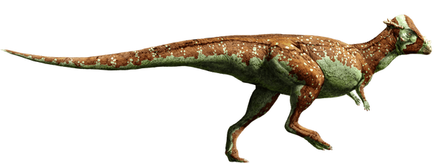 ѧҡר㽲ɵ