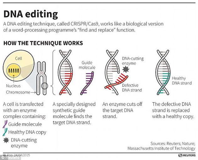 Crispr-Cas9DNAʹñǩʶͻλãͬʱһøΪ΢ͼھȷλüDNAӶƶСֻ