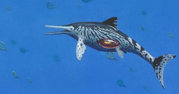 ѧΪIchthyosaurus somersetensis߮2ǰУʱǿưԵ½صʱڡ