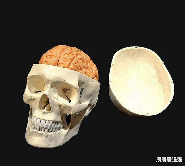 ųϵ, 뵽