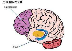 Ĵʵܿ еʹɱ