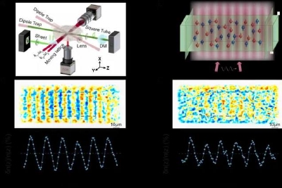 量子模拟重大突破 我科学家首次测得第二声衰减率