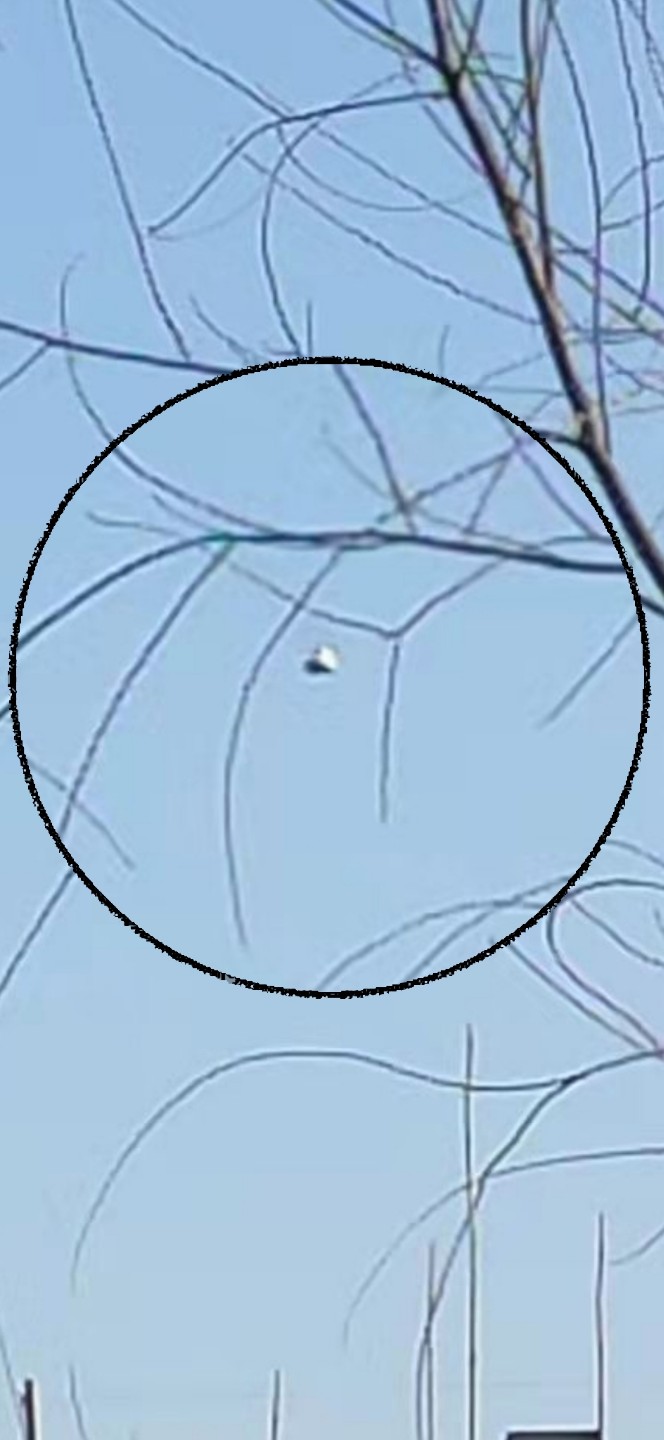 2023219պӱʯׯ԰ϷUFO