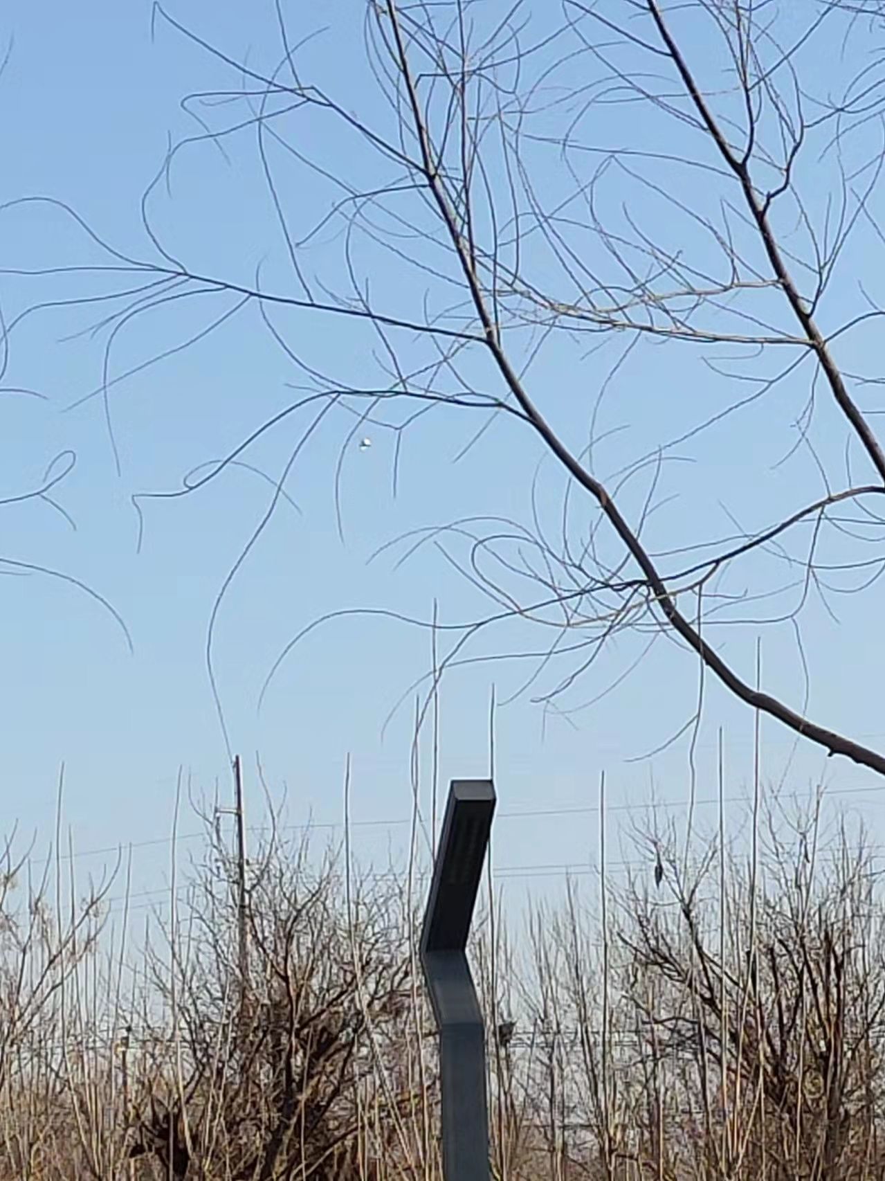 2023219պӱʯׯ԰ϷUFO