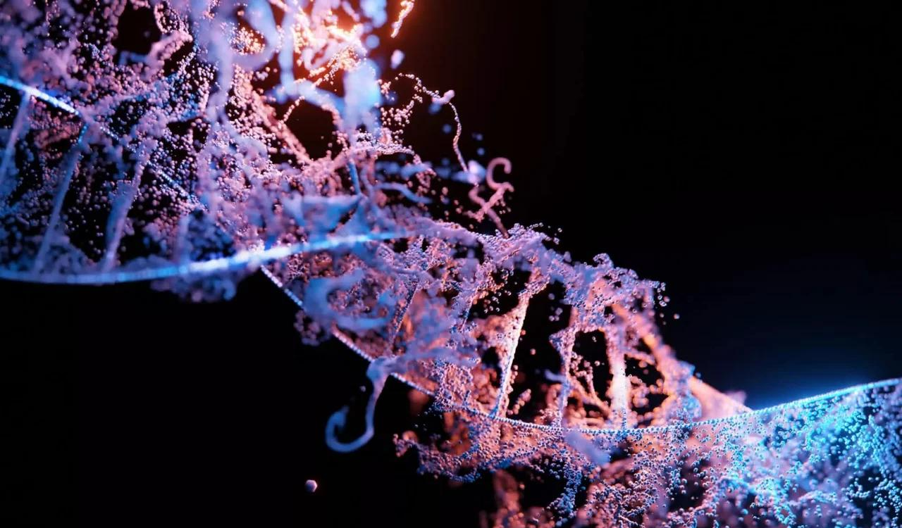 ������������DNA��1��DNA�������ܴ��������������������DNA�������˽ⲻ���ٷ�֮��