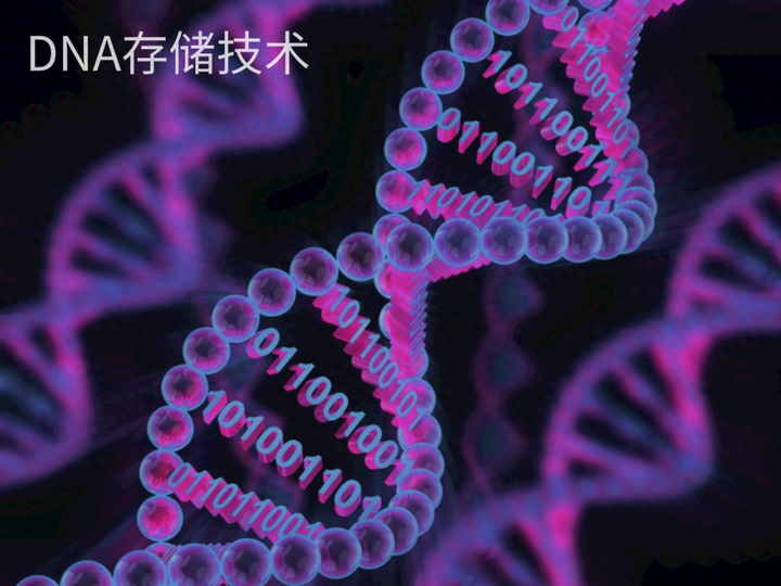 ������������DNA��1��DNA�������ܴ��������������������DNA�������˽ⲻ���ٷ�֮��