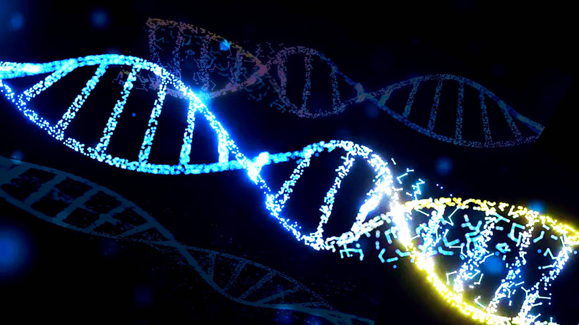 ������������DNA��1��DNA�������ܴ��������������������DNA�������˽ⲻ���ٷ�֮��