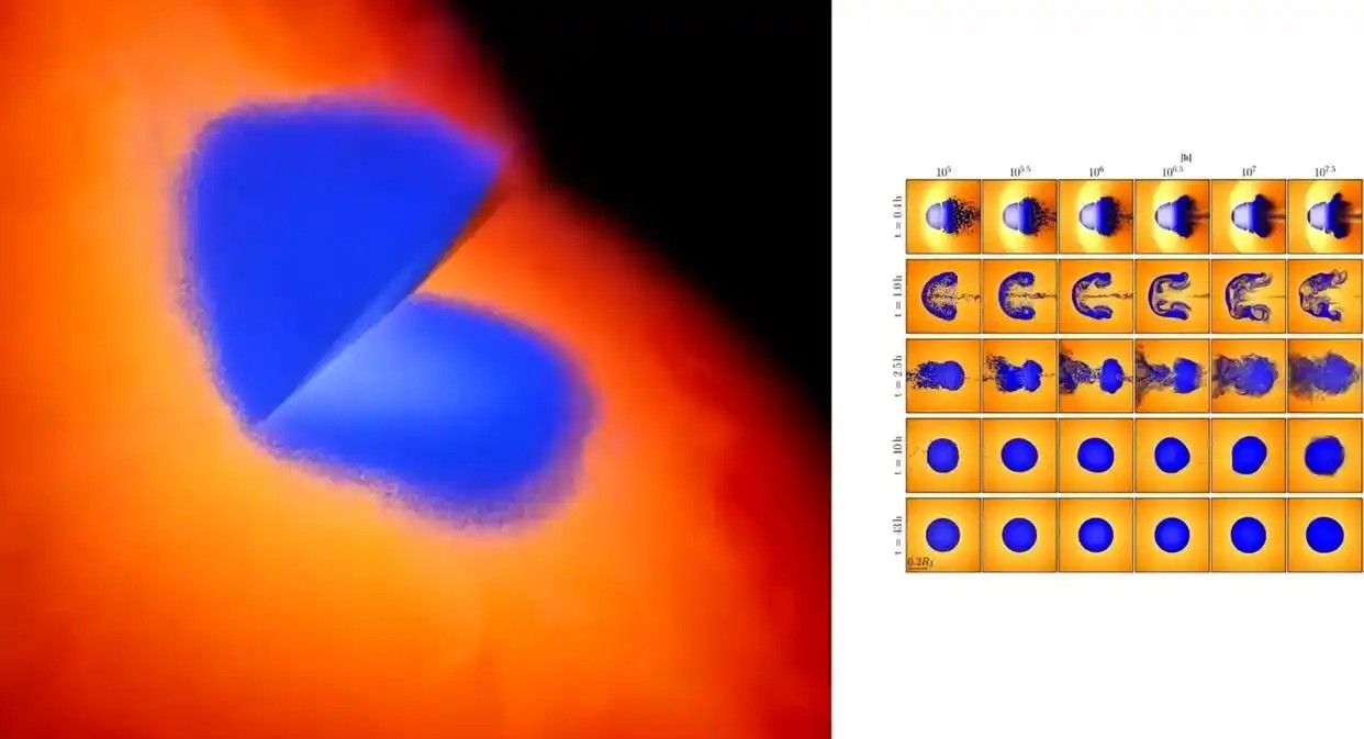 ľ��Ϊ����ô���ѵ��ǳԳ�������