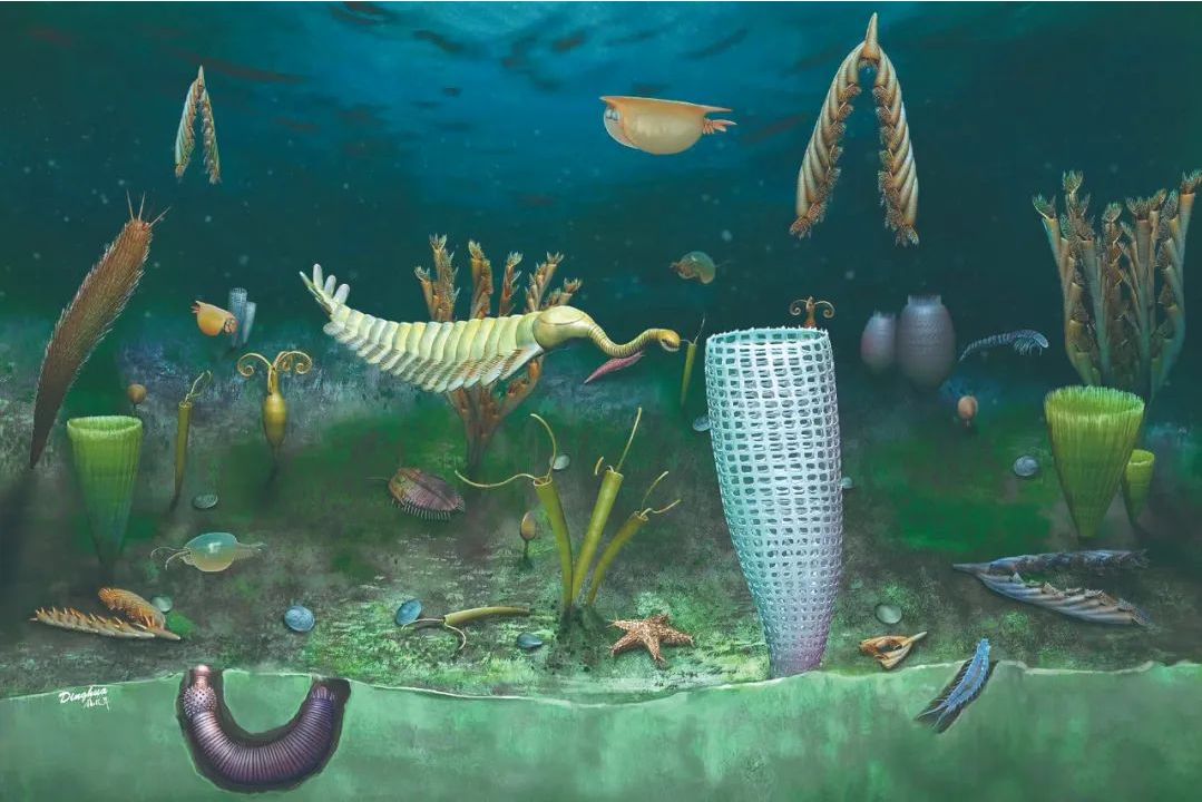 ��д����ʷ?21����ǰ,��������һ��������ά��������Ⱥ