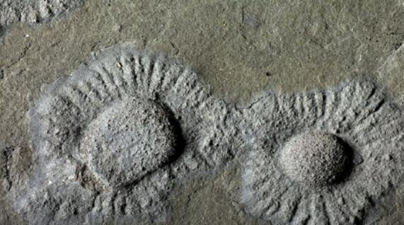 ��д����ʷ?21����ǰ,��������һ��������ά��������Ⱥ