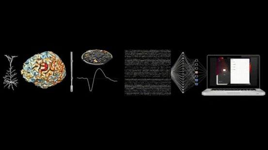 ��˹�˵ġ��ϵ�֮�֡���2026���Ի��ӿ���������