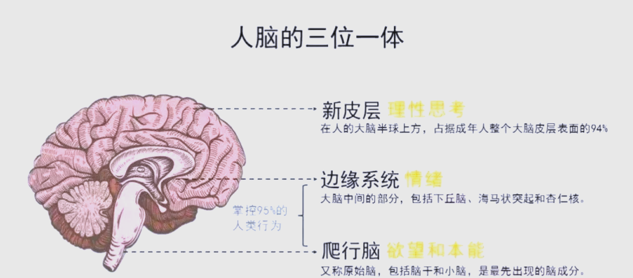 �����Ĵ��Բ�����ת�ı����һЩ