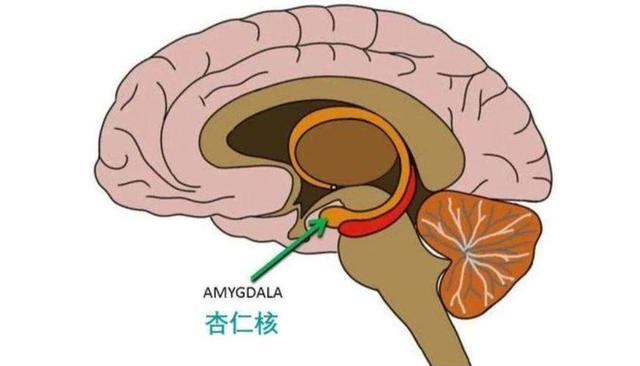 �����Ĵ��Բ�����ת�ı����һЩ