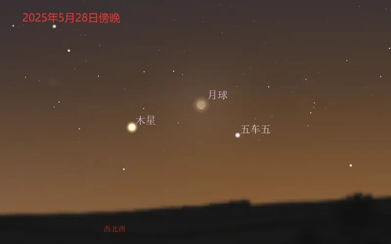 2025��5������Ԥ��