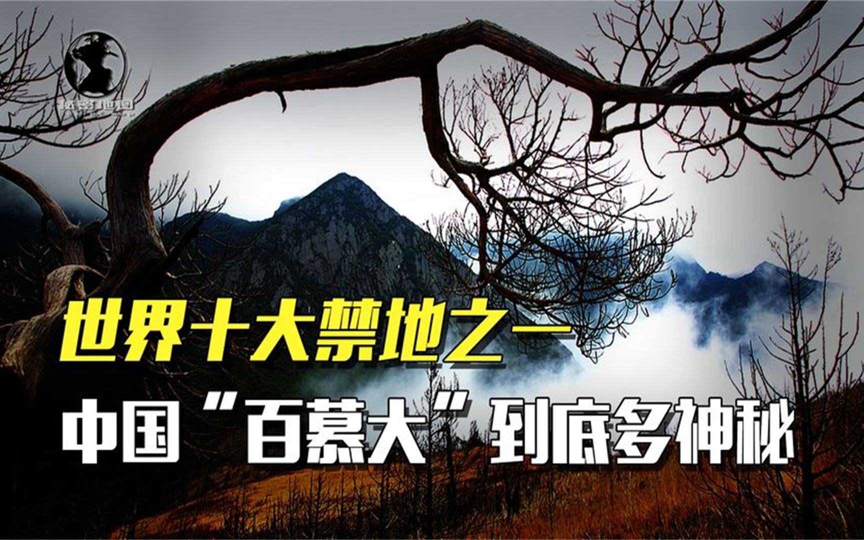 �й�����Ľ���Ĵ����񹵣�30��ƾ����ʧ�������ʯͷ�����