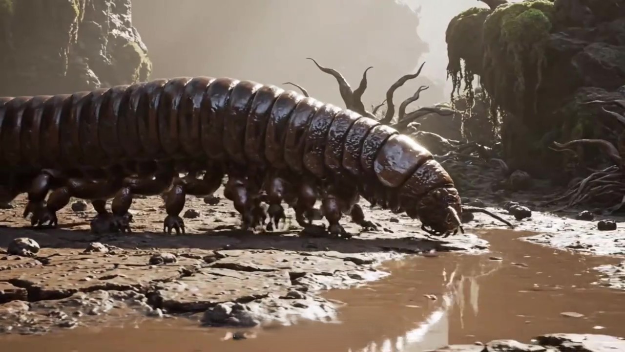 ��������֮ǰ������8�׸ߵ�Ģ��ͳ����5000���꣡