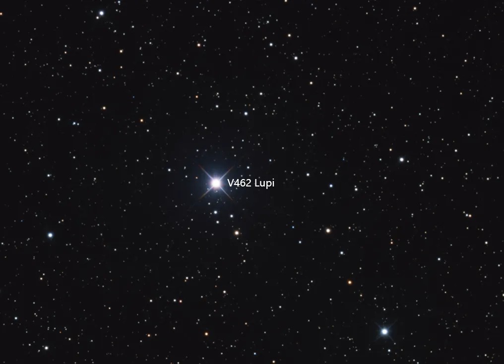 ���ǳ��֣�ץ���۲⣡