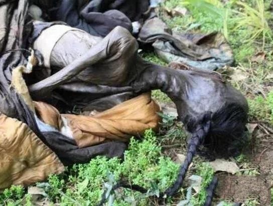 �ҿ�2005�꣬���Ĵ��ϳ䲻����ʬ�����¼���