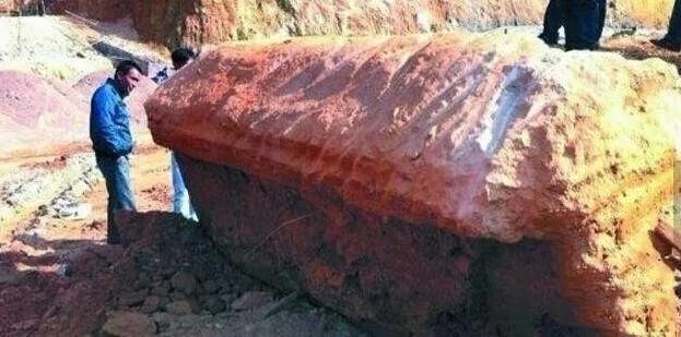 �ҿ�2005�꣬���Ĵ��ϳ䲻����ʬ�����¼���