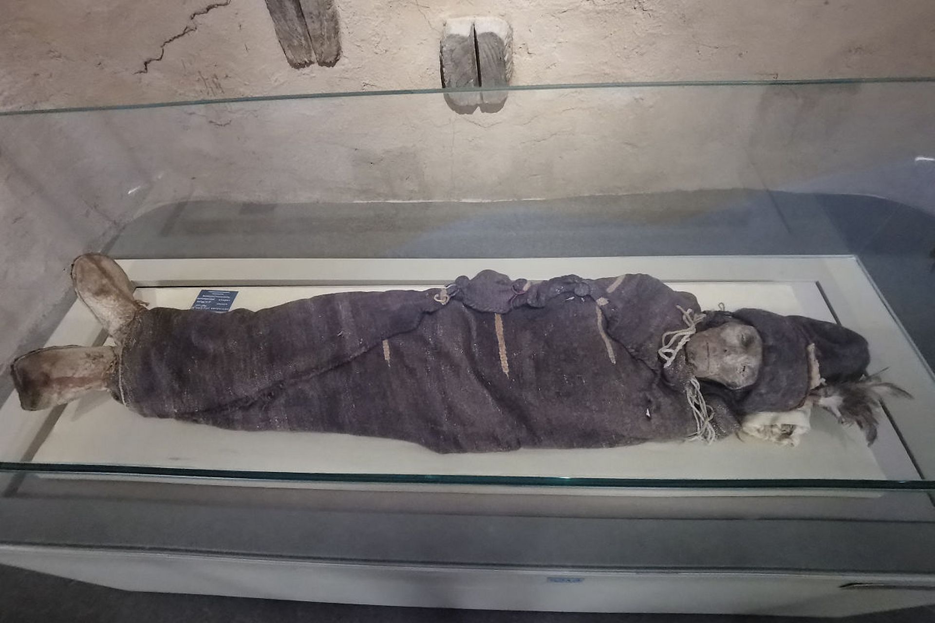 �ҿ�2005�꣬���Ĵ��ϳ䲻����ʬ�����¼���