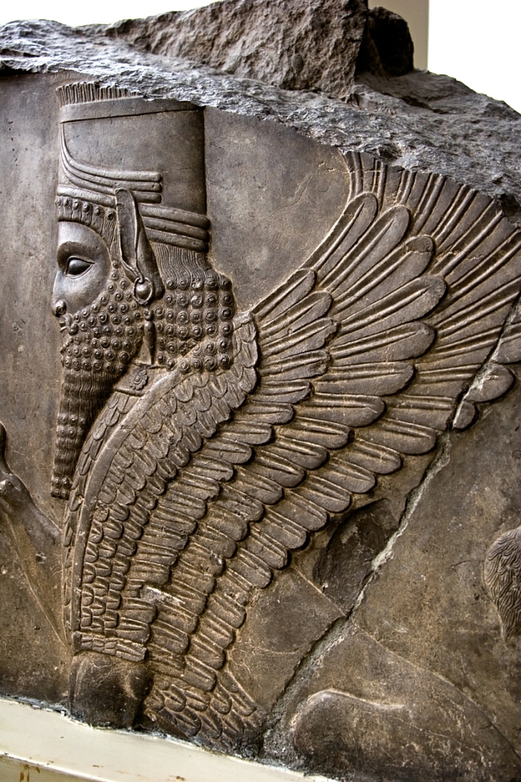 ��������������ʧ��ħ����-���ޣ����ܲ���һ�α�Ĩ����ʷǰ��������