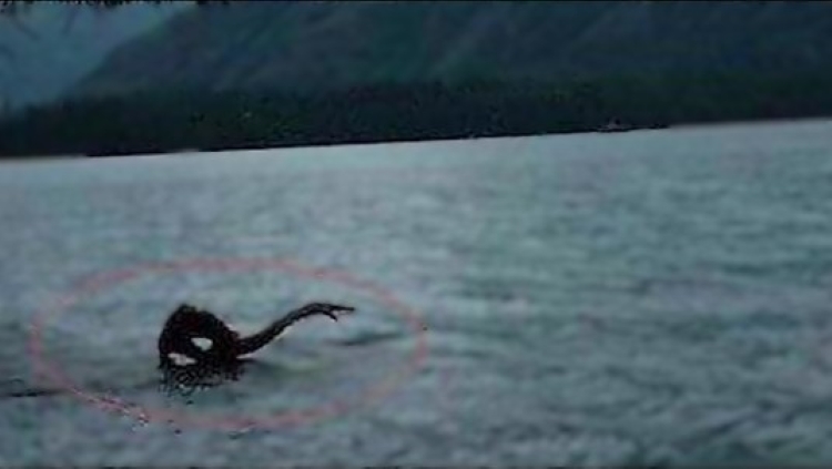 Ϊ�γ���ɽ�Ȱ���ɽ������η�壿Ұ�ˡ�ˮ�����վ�ʧ�ٵ����ش�˵