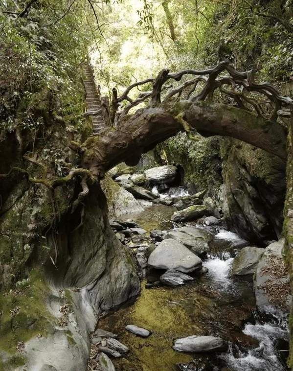 ����ɽ����ʯ�ˣ�ÿ�����ڵ���