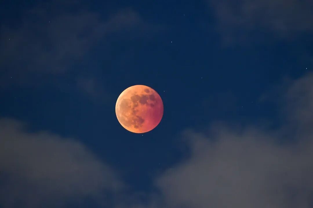 2026Ԫ���ڳ���Ѫ�£�������Σ�Ҫ�������꣡