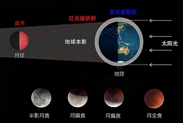 2026Ԫ���ڳ���Ѫ�£�������Σ�Ҫ�������꣡