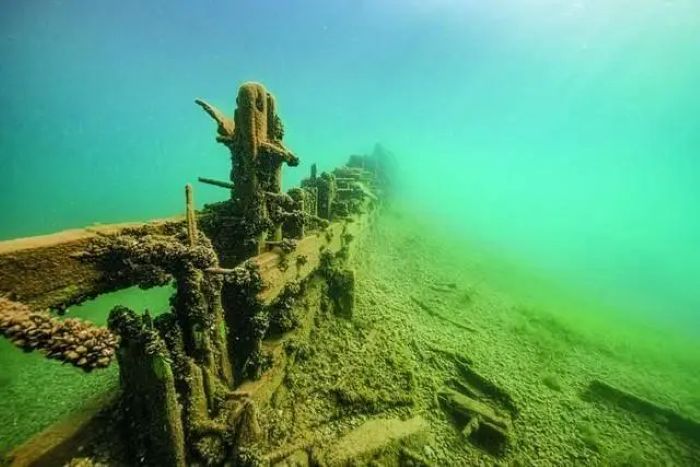 ��DNA������ʾ150��ǰ�Ŵ�������ʷ��