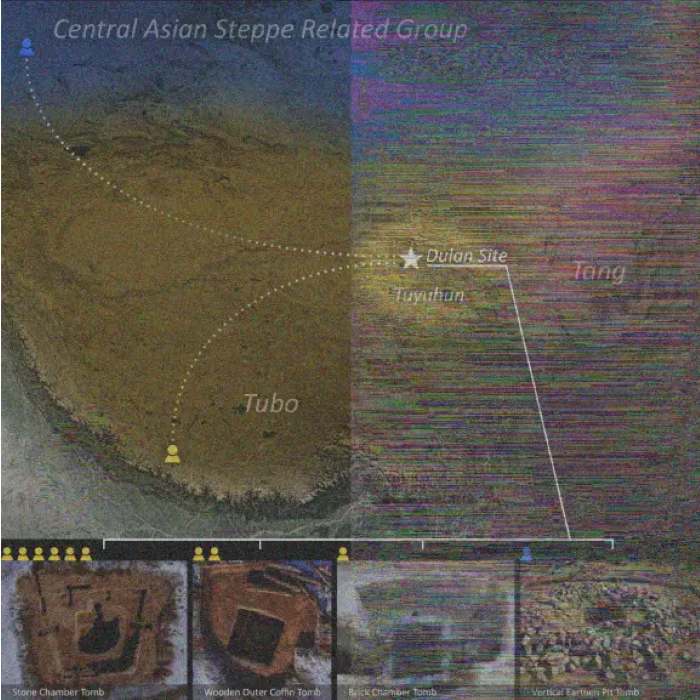 ��DNA������ʾ150��ǰ�Ŵ�������ʷ��