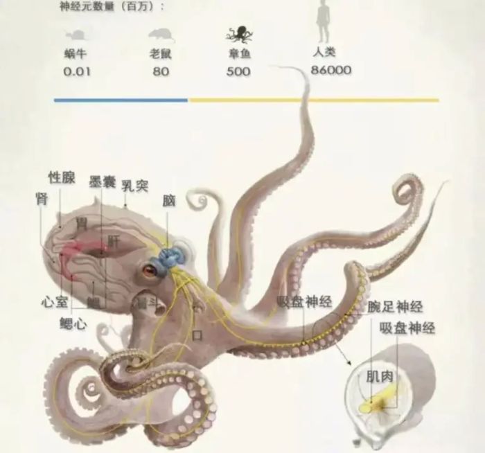 ������ǵ������������˵��������ؼ�֤����̱����֣���ѧ�ҵ���ػ��ɻ����������ȷ��