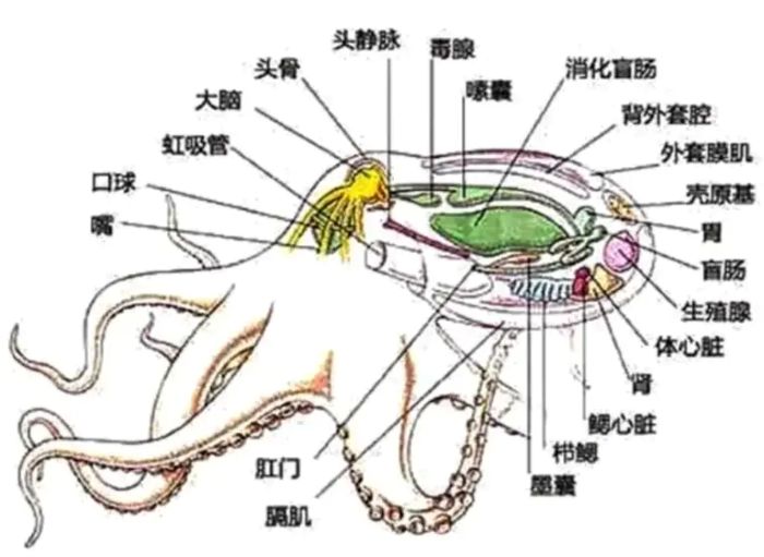 ������ǵ������������˵��������ؼ�֤����̱����֣���ѧ�ҵ���ػ��ɻ����������ȷ��