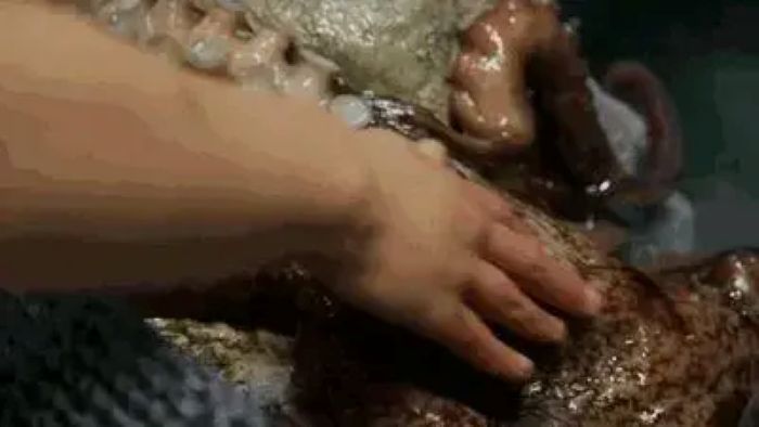 ������ǵ������������˵��������ؼ�֤����̱����֣���ѧ�ҵ���ػ��ɻ����������ȷ��