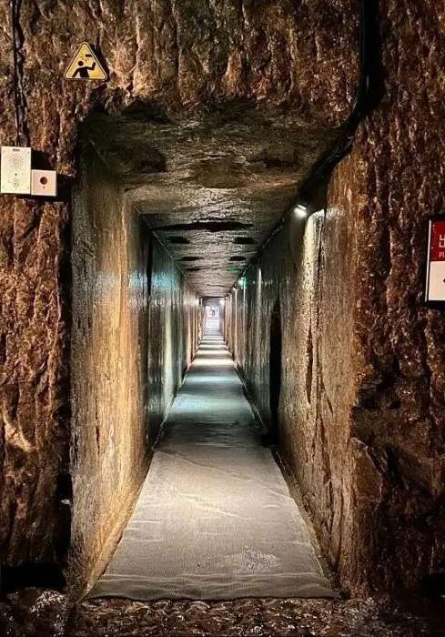 �������������������ܣ����ݹ�ɽ��Ĺ�˴�δ��֮��