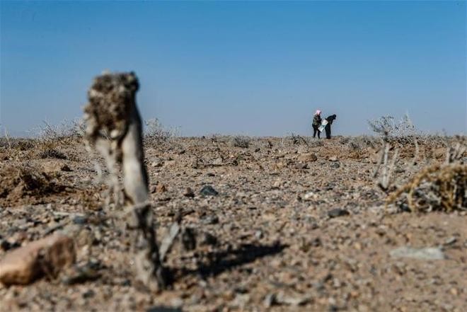 ���������������ʹ����߽����ģ����ڸ�����������£�