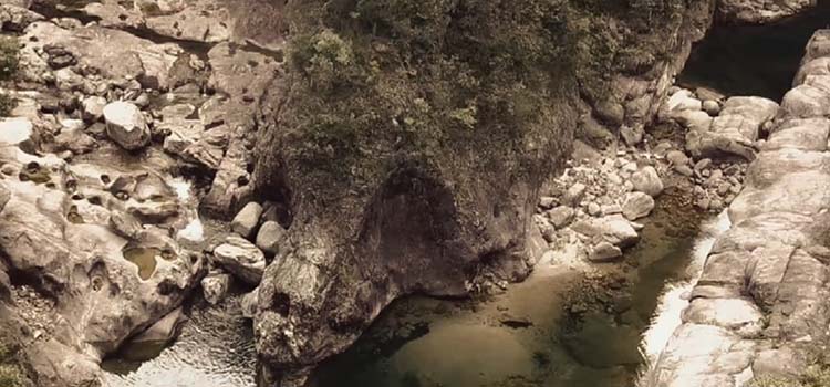 ��֪��������֮Լ����2049�������գ���Щ��������������ʯ����ӡ������ڵȰ���֮Լ���ڣ�