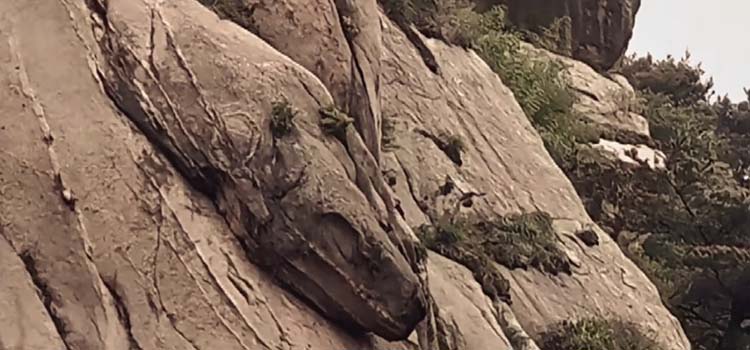 ��֪��������֮Լ����2049�������գ���Щ��������������ʯ����ӡ������ڵȰ���֮Լ���ڣ�