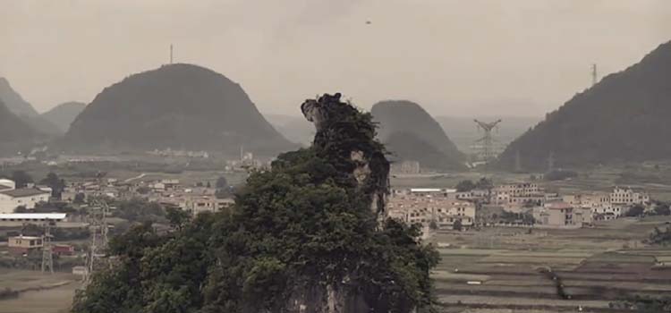 ��֪��������֮Լ����2049�������գ���Щ��������������ʯ����ӡ������ڵȰ���֮Լ���ڣ�