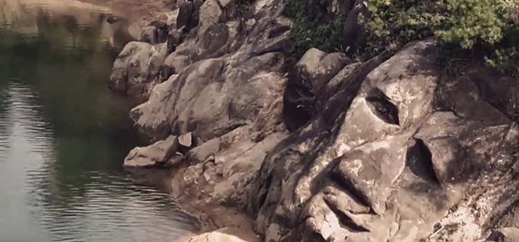 ��֪��������֮Լ����2049�������գ���Щ��������������ʯ����ӡ������ڵȰ���֮Լ���ڣ�