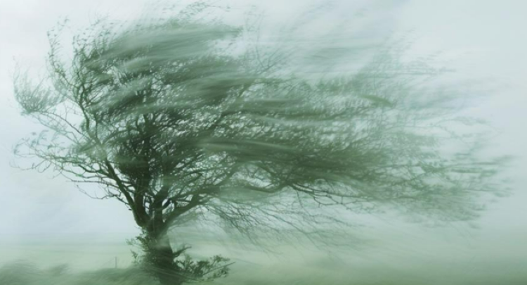 749��|���ݱ���  ˮ������