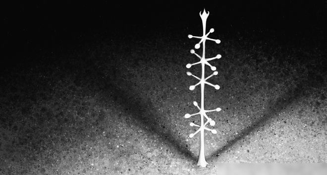 1964�꣬������5������ĺ��ף��ĵ���һ��